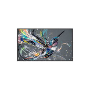 PHILIPS 65  Q-LINE  187 4K UHD